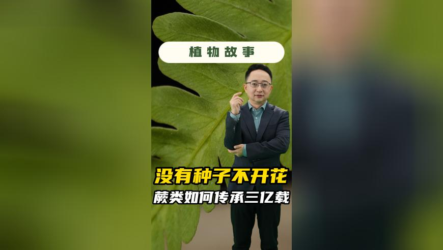 宋亚轩粤语性张力,澳门四不像正版论坛超准资料精准,确保成语解释落实的问题_权威版V8.25